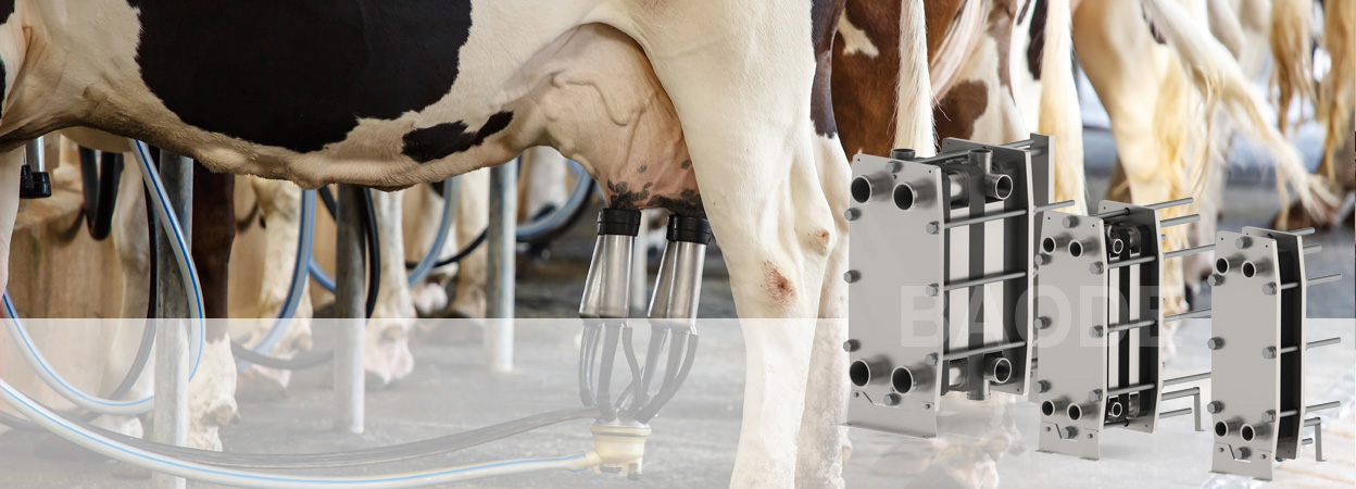 BAODE heat exchanger